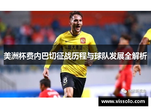 美洲杯费内巴切征战历程与球队发展全解析