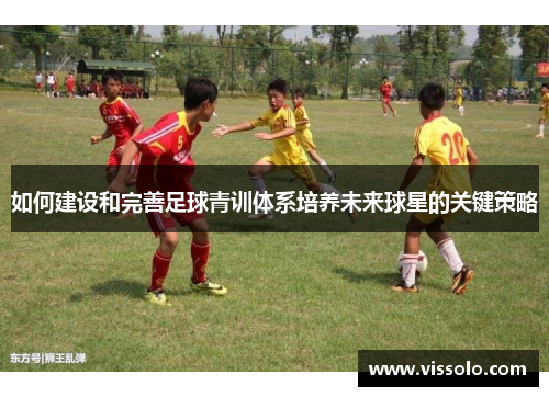 如何建设和完善足球青训体系培养未来球星的关键策略